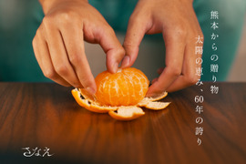 【一番人気】果汁たっぷり！さなえみかん 2.5kg（25個程度）