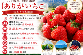 八ヶ岳産 完熟高級　「ありがいちご」700g（３〜４パック分）  食べ始めたら止まらない！標高1000m 太陽とミネラル豊富な水の恵み　輸送に強い業務包装　夏も食べたい！奇跡の定期便もあるよ！