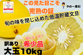【完熟の証】低温貯蔵 土佐文旦 訳あり大玉10kg｜風味が際立つ食べ頃・日本ギフト大賞受賞・文旦発祥の地 ・高知県土佐市産 ・やの一果彩