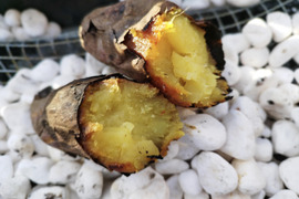 🌟朝ドラで話題の糸島野菜🌟栽培期間中、農薬・化学肥料・除草剤不使用❕1ヶ月熟成してからお届け❕ねっとり甘～い紅はるか（３キロ）※熨斗対応有※