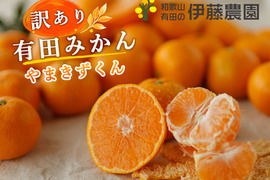 【10月中旬より順次発送予定】有田みかん5kg (ミックスサイズ 2S～3L)  家庭用(訳あり品) やまきずくん 和歌山 311-9