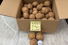 きたあかり5キロ