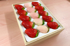 『紅白セット』フレーズのこだわりいちご(贈答用)