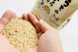 【玄米】今年の採れたてのお米を玄米で！(3kg)