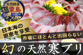 【大好評なので今年も継続】30％増量キャンペーン🐟日本海ブランド"天然国産"活き〆寒ブリ🐟刺身＆ぶブリ尾しゃぶ用お試し特価キャンペーン約350g【11月上中旬予約】