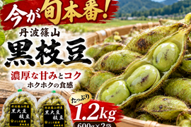 【今が旬本番！】【朝どれ】丹波篠山 黒枝豆 1.2kg（600g×2袋）濃厚な甘み 大粒 ホクホク食感 産地直送 期間限定 丹波黒 贈答用にも 大粒 最高級 枝豆 丹波 丹波篠山黒枝豆 数量限定