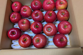 信州産あいかの香り5.5kg17玉