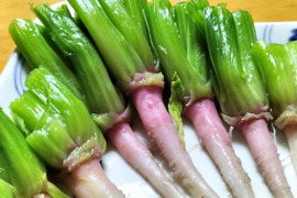 ホウレンソウ【うす紅根っ子、ギシッとした太い軸で野生的！】〈約1.2kg〉