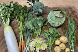 カラダ元気に　野菜セット