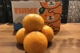 🍋セット商品🍊定番品種【清見タンゴール3kg】【イエローレモン1kg】ご家庭用