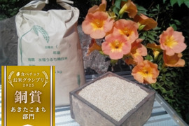 【令和7年新米】あきたこまち【玄米約10㎏】茨城産1等米🏆食べチョクお米グランプリ2025銅賞🏆🌾