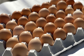 【40個入／訳ありたまご 🥚🍳🐔通常商品より30%OFF!】【塩で絶品☆卵かけご飯】  山もりたまご