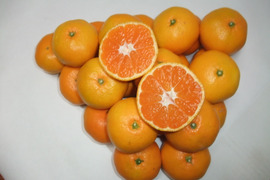とにかく甘い！ひめまる石地みかん（小玉３Kg）