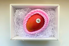 【冬ギフト】北海道真冬のマンゴー「十勝マンゴー」3Lサイズ１玉（箱入れ）