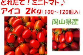 皮パリ食感！アイコ『岡山県産』２ｋｇ（概ね100～120個程度）