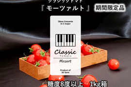 クラシック音楽で育つ 糖度8度以上・酸味の少ない高糖度ミニトマト『 クラシックトマト モーツァルト 』【1kg】