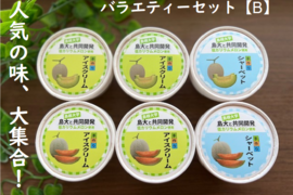 【訳あり】しまね夢メロン（低カリウムメロン）【青肉・赤肉】を使用したバラエティーセット【B】（６個入り）