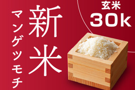 【新米／一等米】令和4年 もち米 マンゲツモチ 30kg（玄米）