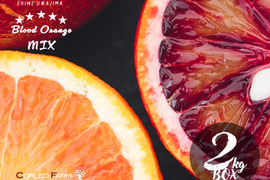 【EHIME UWAJIMA】ブラッドオレンジ食べ比べ<モロ＆タロッコ>2kgBOX(1.7kg)