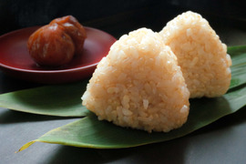 玄米が好きになる　きらほ玄米10㎏(5kg×2袋)