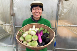 自然栽培で育ったカラフル根菜セット✨だいこん、かぶ、にんじんの3品目13種類！（1.5キロ）