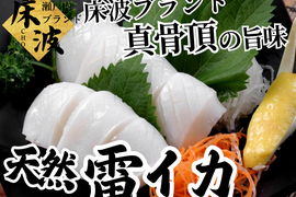 【誤魔化しの効かない質】長州床波基準で選び抜かれた🌊天然国産『雷イカ』長州床波ブランド大容量パッケージ約約400g【5月中旬予約】