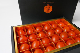 【父の日ギフト】糖度10以上のフルーツミニトマト｜贈答用ギフトボックス