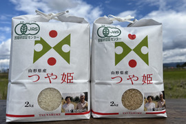 【食べ比べ】令和4年産　JAS有機栽培つや姫白米2kg 玄米2㎏(転換期間中)