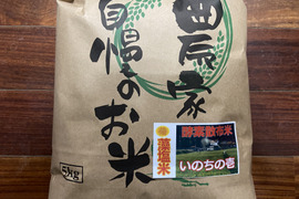 令和７年9月に刈り取りました新米☆☆いのちの壱(超大粒)☆酵素散布米いのちの壱 玄米5キロ精米無量