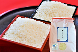 【令和7年産】毎日5合なら約26日分！茨城県産コシヒカリ　風のひかり20kg（5kg×4袋）