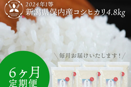 【定期便】2024年 新潟県保内産コシヒカリ1等 （4.8kg×6ヶ月）