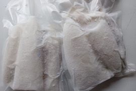 紋甲イカ下処理済1.8kg『関門海峡産』刺身用身900g下足900g　分厚く甘みがあって食べ応えありますよ♪