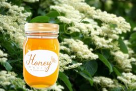 華やかな香りと爽やかさを感じるクマノミズキのはちみつ。 自然豊かな環境で採取された純粋なはちみつ