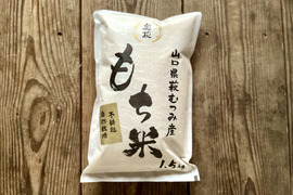 【令和4年度産】自然栽培　もち米　3kg 　白米（山口県萩市産）