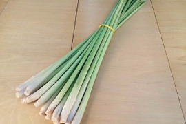 生のレモングラス（茎）　500g～