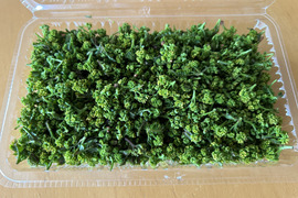 写真が現物の花山椒50g （かやぶきの里・
京都・美山産 栽培期間中農薬不使用）