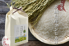 令和4年 噛めば噛むほど旨味がでてくる茨城県産コシヒカリ 白米【一等米】【5kg】