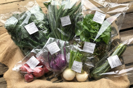 【ご予約受付中】地域循環！季節の野菜詰め合わせ（固定種・農薬不使用）※個別包装タイプ