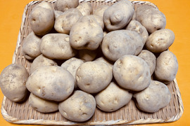 【豊作特価】希少な自然栽培のジャガイモ【男爵】5kg（箱重量込）