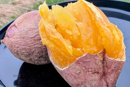 発送中🍠もはやスイーツ！ねっとり甘い安納芋Mサイズ２KG  五島の海水を使って育てました！農薬/化学肥料不使用 サツマイモ