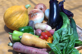 9/23更新✨選べる10つの野菜チョイス！生落花生おおまさりスタート！！農薬・化学肥料不使用の野菜セット🥬