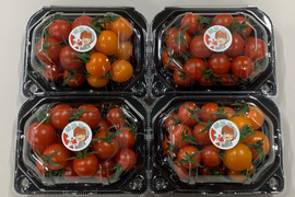 パリッと！新鮮！ミニトマトの2品種セット【4パック】