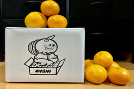 【甘み＆食べやすさ】のエース級！西果樹園の【早生みかん2.5kg】