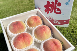 あら川の桃 産地直送 『旬のおまかせ』（5〜6玉）