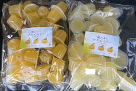 訳アリ　陽だまりファーム 三ヶ日みかん みかんゼリー 25粒
