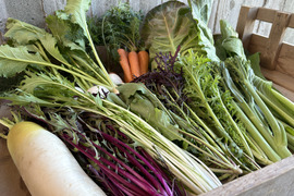 【栽培期間農薬不使用】六月農園　宮殿の厨房野菜お試しSセット【4-5品目】