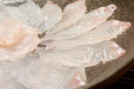 【森育ちの養殖ヒラメ】昆布〆刺身 3〜4人前 頭・骨セット　注文後活け締め！長崎県産