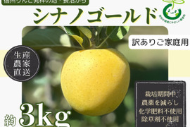生産農家直送 りんご シナノゴールド 訳あり ご家庭用 3kg 長野県産 信州りんご発祥の地 長沼りんご 産地直送 除草剤不使用 人にやさしく環境にもやさしい農産物