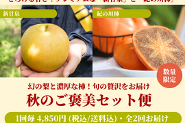【限定100セット】秋のご褒美セット便（食べチョク公式）