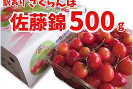 【 4月限定価格 】【 佐藤錦 】山形県天童産  500ｇ   【 肉厚果肉がジューシー 】【 大好評口コミ多数！！🍒 】訳あり【 朝どれ 】